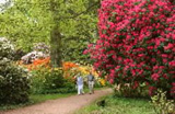 Westonbirt Arboretum